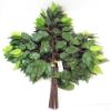 Picture of 60cm FICUS BRANCH (42 LEAVES) GREEN X 12pcs