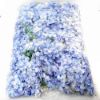 Picture of 12cm HYDRANGEA FLOWER HEAD BLUE X 100pcs