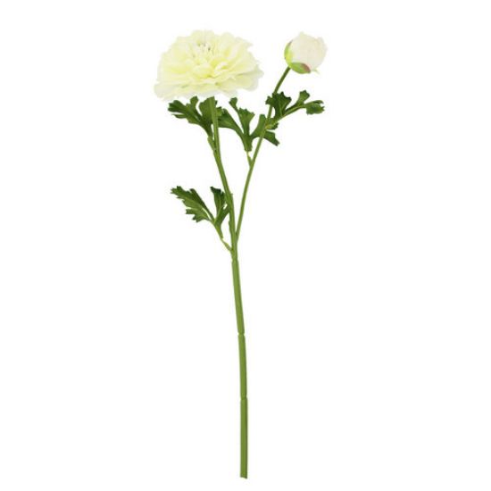 Picture of 51cm RANUNCULUS SPRAY IVORY