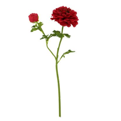 Picture of 51cm RANUNCULUS SPRAY RED