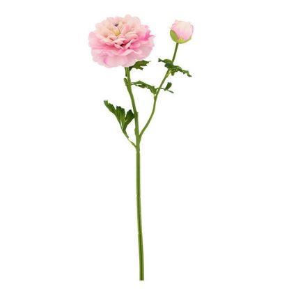 Picture of 51cm RANUNCULUS SPRAY PINK