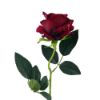 Picture of 52cm SINGLE LARGE VELVET TOUCH OPEN ROSE RED