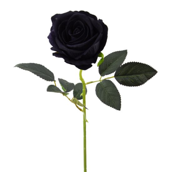 Picture of 52cm SINGLE LARGE VELVET TOUCH OPEN ROSE BLACK