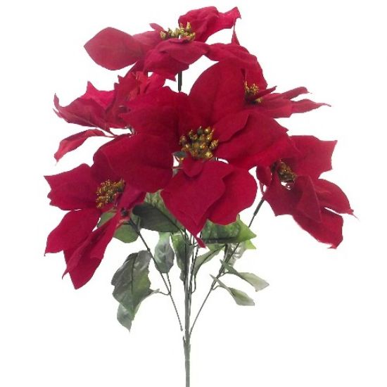 Picture of 51cm LARGE VELVET POINSETTIA BUSH (7 HEADS) RED/GOLD