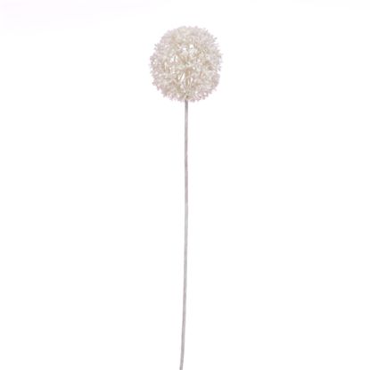 Picture of 82cm GLITTERED LARGE ALLIUM WHITE