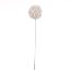 Picture of 82cm GLITTERED LARGE ALLIUM WHITE