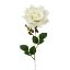 Picture of 50cm SINGLE VELVET TOUCH LARGE OPEN ROSE IVORY