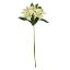 Picture of 47cm ALSTROEMERIA SPRAY IVORY