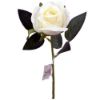 Picture of SINGLE SHORT STEM ROSEBUD IVORY