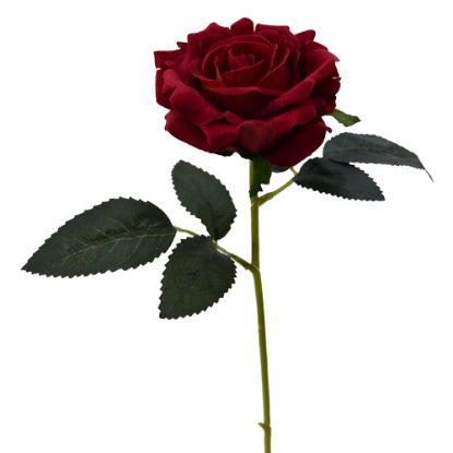 Picture of SINGLE SHORT STEM PREMIUM VELVET TOUCH OPEN ROSE RED