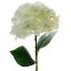 Picture of 45cm SINGLE HYDRANGEA IVORY