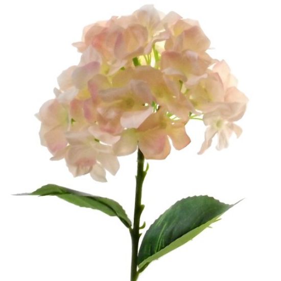 Picture of 45cm SINGLE HYDRANGEA PEACH