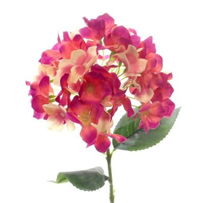 Picture of 45cm SINGLE HYDRANGEA BEAUTY