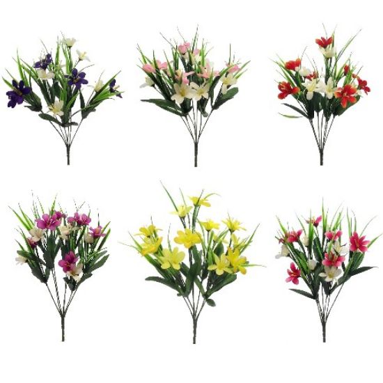 Picture of 34cm AGAPANTHUS BUSH ASSORTED X 48pcs