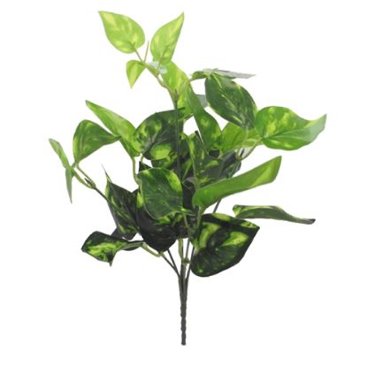 Picture of 33cm POTHOS BUSH 2 TONE GREEN