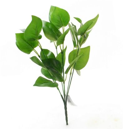 Picture of 33cm POTHOS BUSH DARK GREEN