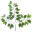 Picture of 66cm DELUXE FICUS BRANCH (42 LEAVES) GREEN X 12pcs
