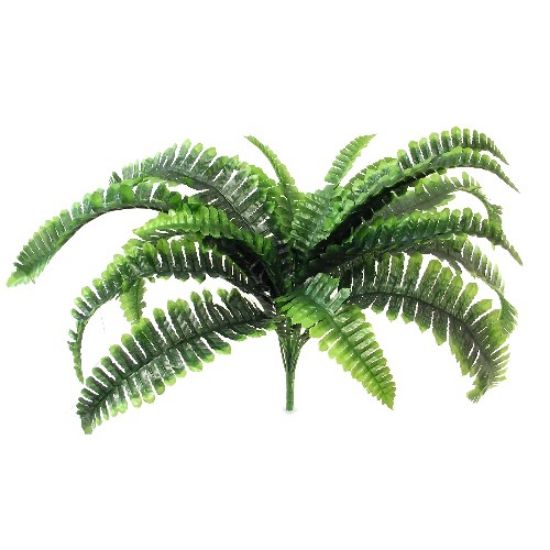 Picture of 55cm LARGE BOSTON FERN BUSH GREEN