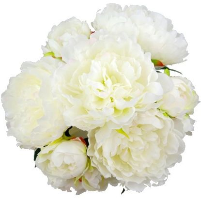 Picture of 44cm LARGE PEONY BUSH IVORY