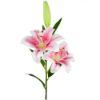 Picture of 85cm LARGE TIGER LILY SPRAY PINK