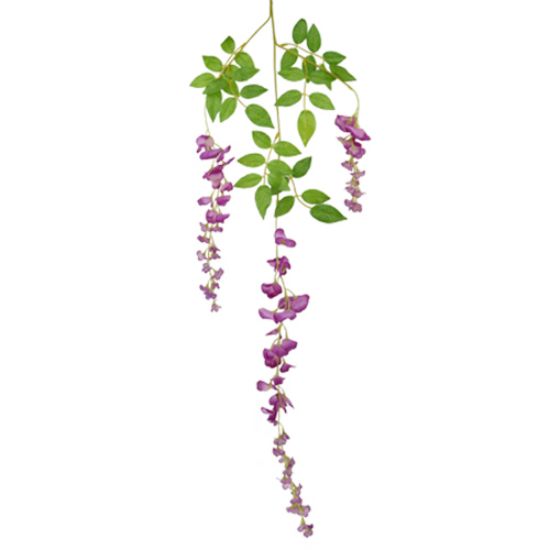 Picture of BEAN FLOWER TRAIL FUCHSIA X 6pcs