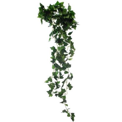 Picture of 90cm TRAILING MINI IVY LEAF BUSH GREEN