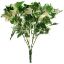 Picture of 26cm MINI IVY LEAF BUSH VARIEGATED