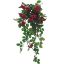 Picture of TRAILING MINI ROSE BUSH HOT PINK