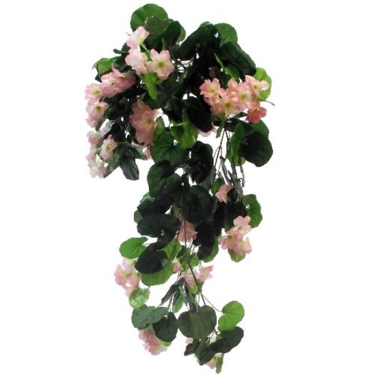 Picture of 70cm TRAILING GERANIUM BUSH LIGHT PINK