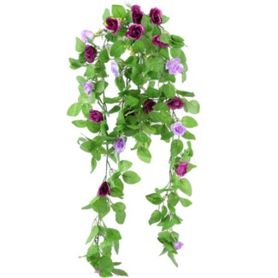 Picture of 86cm TRAILING SPRING ROSE BUSH LILAC/PURPLE