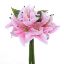 Picture of 30cm LILY BUNDLE LIGHT PINK