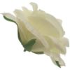 Picture of SINGLE ROSE FLOWER HEAD IVORY X 12pcs