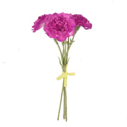 Picture of CARNATION BUNDLE (BUNDLE OF 3) DARK PINK