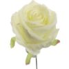 Picture of 27cm SINGLE OPEN ROSE IVORY