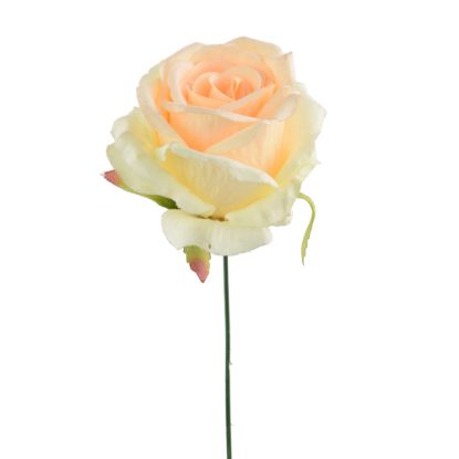 Picture of 27cm SINGLE OPEN ROSE PEACH