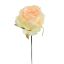 Picture of 27cm SINGLE OPEN ROSE PEACH