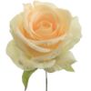 Picture of 27cm SINGLE OPEN ROSE PEACH