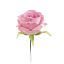 Picture of 27cm SINGLE OPEN ROSE PINK