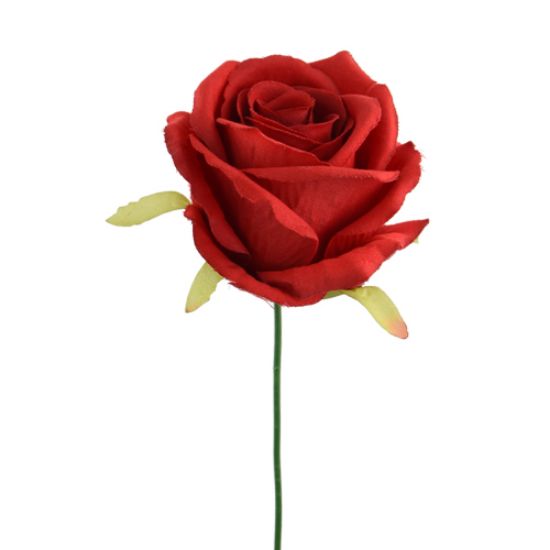 Picture of 27cm SINGLE OPEN ROSE RED 