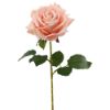 Picture of 74cm LUXURY LARGE SINGLE VELVET TOUCH OPEN ROSE PEACH