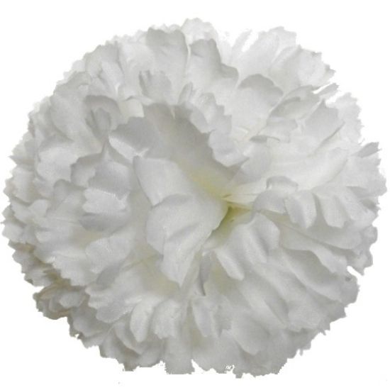 Picture of CARNATION PICK WHITE X 144pcs (IN POLYBAG)