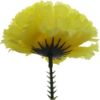 Picture of CARNATION PICK YELLOW X 144pcs (IN POLYBAG)