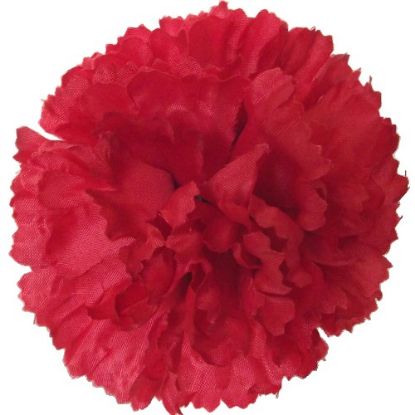 Picture of CARNATION PICK RED X 144pcs (IN POLYBAG)