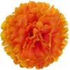 Picture of CARNATION PICK ORANGE X 144pcs (IN POLYBAG)