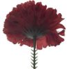 Picture of CARNATION PICK BURGUNDY X 144pcs (IN POLYBAG)