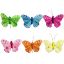 Picture of 6cm FEATHER BUTTERFLY ON 20cm WIRE ASSORTED X 12pcs