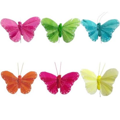 Picture of 7cm FEATHER BUTTERFLY ON 20cm WIRE ASSORTED X 12pcs