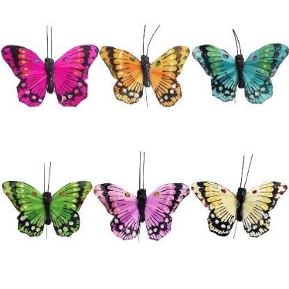 Picture of 7cm TROPICAL FEATHER BUTTERFLY ON 20cm WIRE ASSORTED X 12pcs