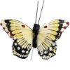 Picture of 7cm TROPICAL FEATHER BUTTERFLY ON 20cm WIRE ASSORTED X 12pcs