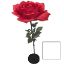 Picture of 170cm XXL GIANT SINGLE ROSE WHITE